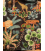 TELA FAUNA 3